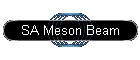 SA Meson Beam